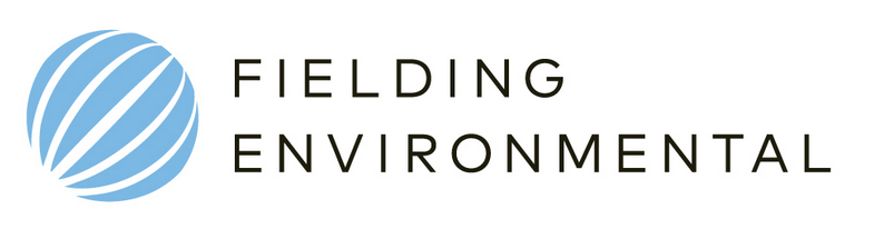 Fielding Env logo
